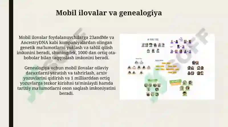 Zamonaviy genealogik jadvallar 8