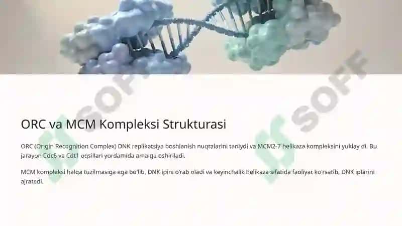 Hujayra Tsikli va Hujayra Replikatsiyasi Boshqaruvi Mexanizmlari 8