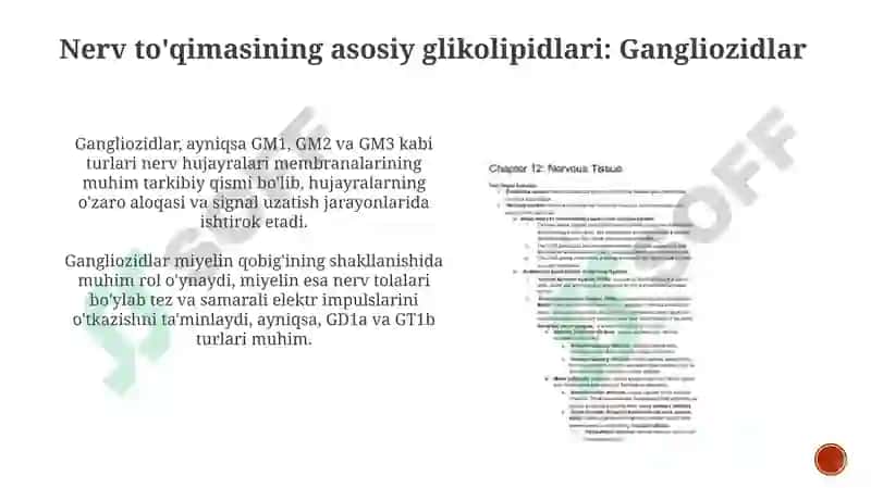 Nerv to'qimasining asosiy glikolipidlari 8