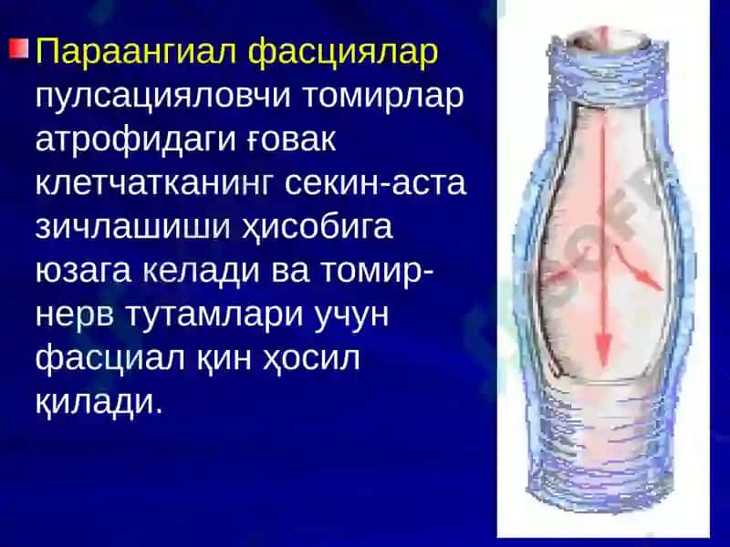 ЙИРИНГЛИ ЖАРАЁНЛАРНИ ЖАРРОҲЛИК ЙЎЛИ БИЛАН ДАВОЛАШНИНГ АСОСИЙ ТАМОЙИЛЛАРИ. 8
