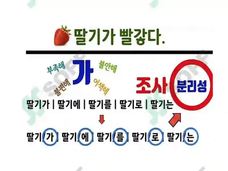 김이영 8