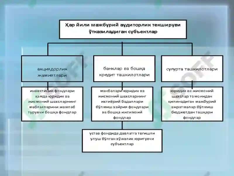 Аудиторлик фаолияти тўрисида қонун 8