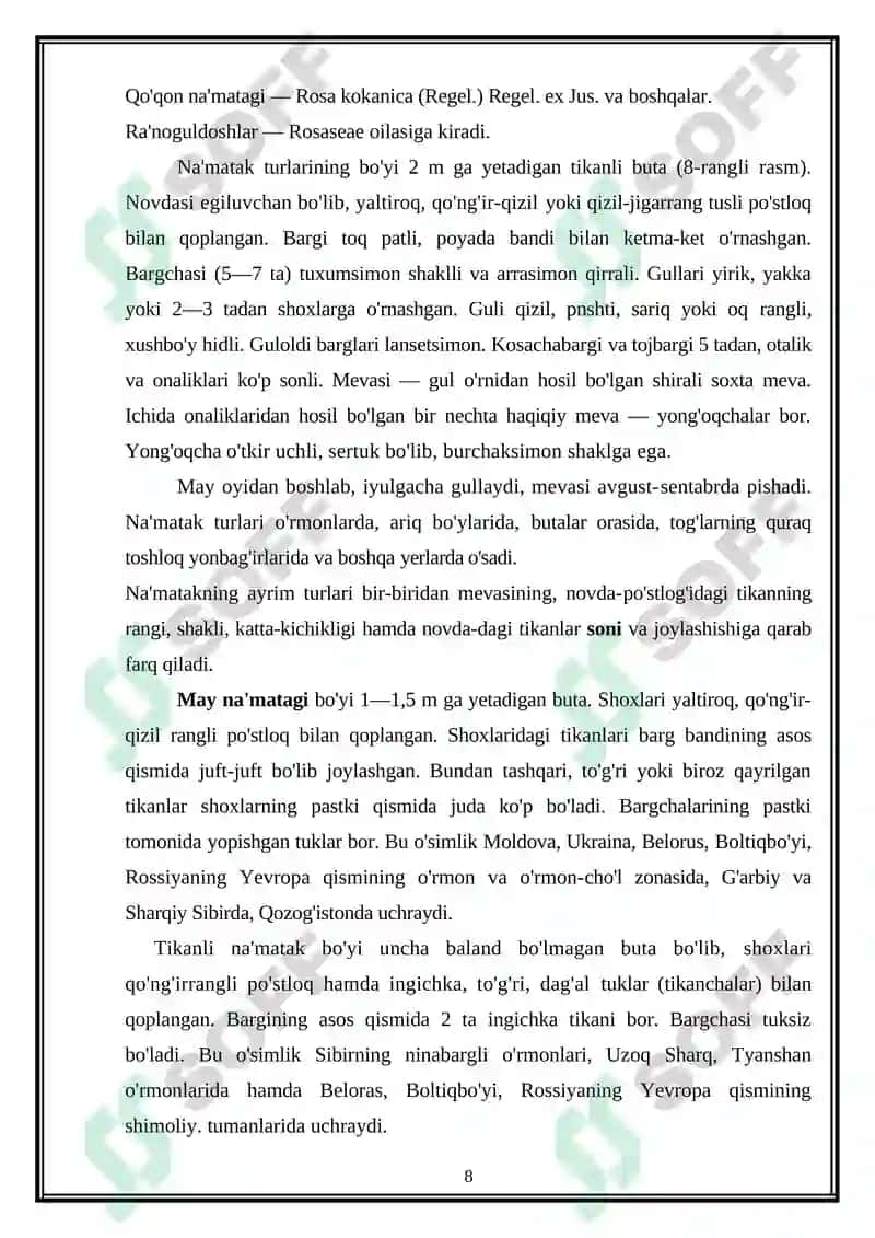 Dalachoy Yerustki Qismi - Herba Hyperici 8