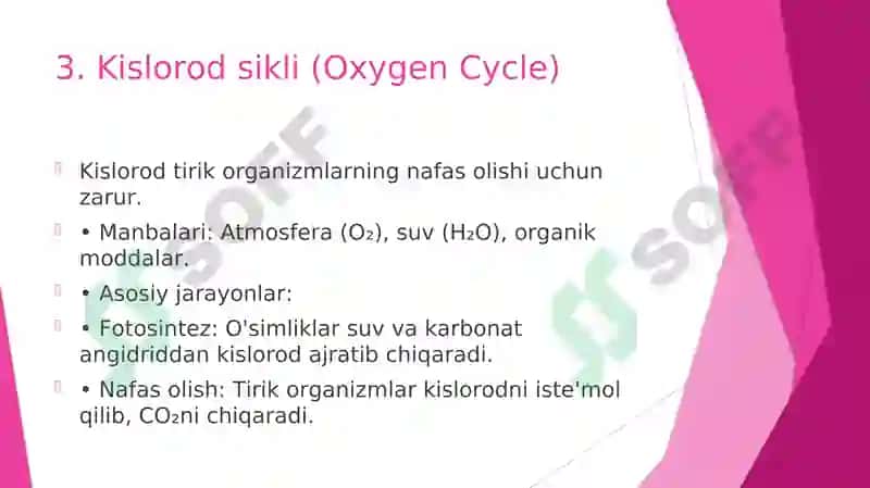 Eng muhim biogen moddalarning biogeokimyoviy sikllari 8