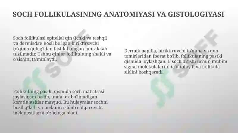 Keratinizatsiya jarayonlari haqida zamonaviy tasavvurlar 8