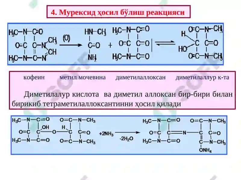 Ксантин ҳосиласини сақловчи алкалоидлар 8