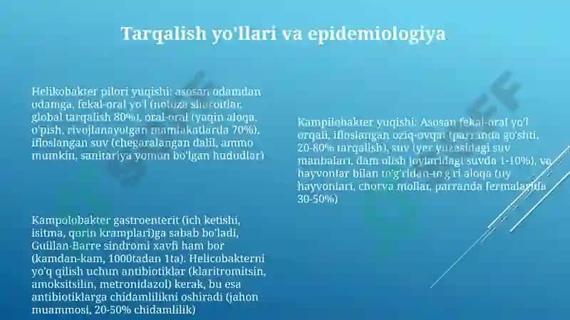 Kampilobakteriyalar, xelikobakteriyalar va ularning amaliyotdagi ahamiyati 8