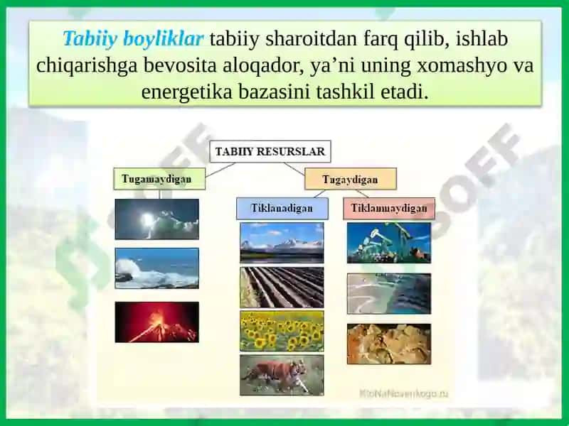 5-dars.O‘ZBEKISTONNING TABIIYSHAROITI VATABIIY BOYLIKLARI 8
