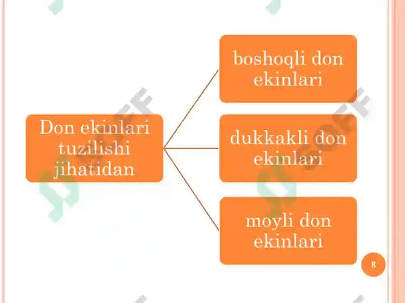 OZIQ-OVQAT SANOATI XOMASHYOLARIFANIDAN TAQDIMOTLAR 8