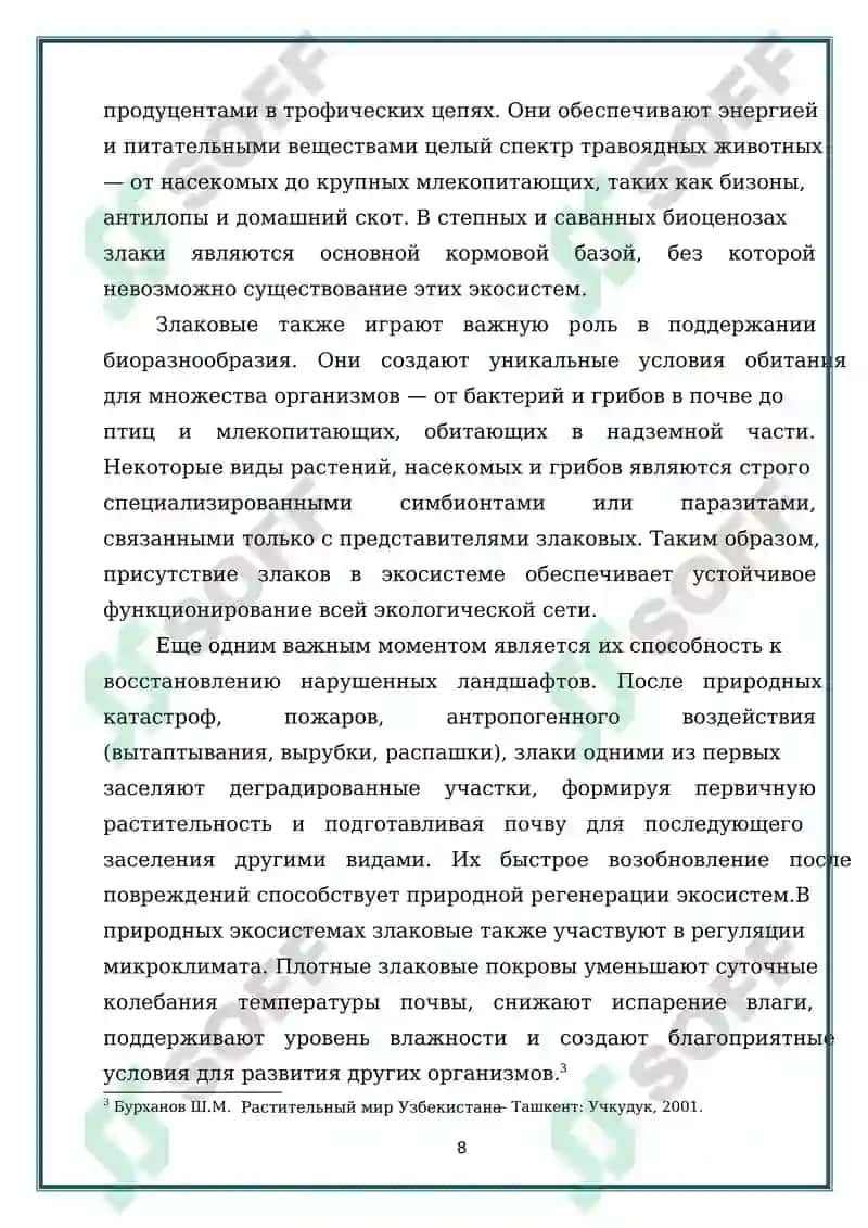 ПРЕДСТАВИТЕЛИ СЕМЕЙСТВА ЗЛАКОВЫХ (POACEAE) ПРОИЗРАСТАЮЩИЕ В ДИКОМ ВИДЕ 8