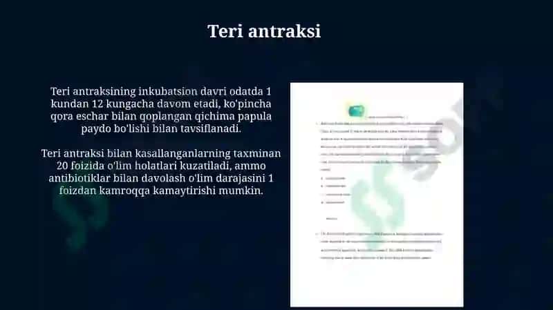 Anthrax - Bacillus anthracis 8