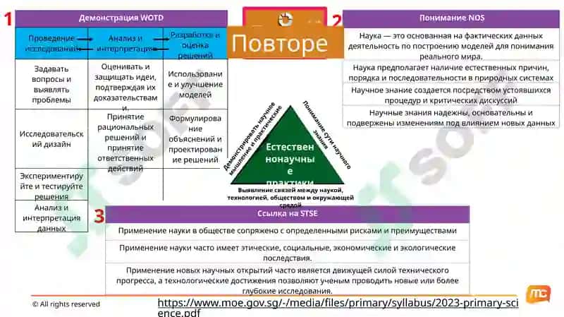 Программа подготовки тренеров (TTT) MCE 8