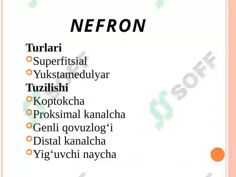 Ayirish Sistemasi Fiziologiyasi 8