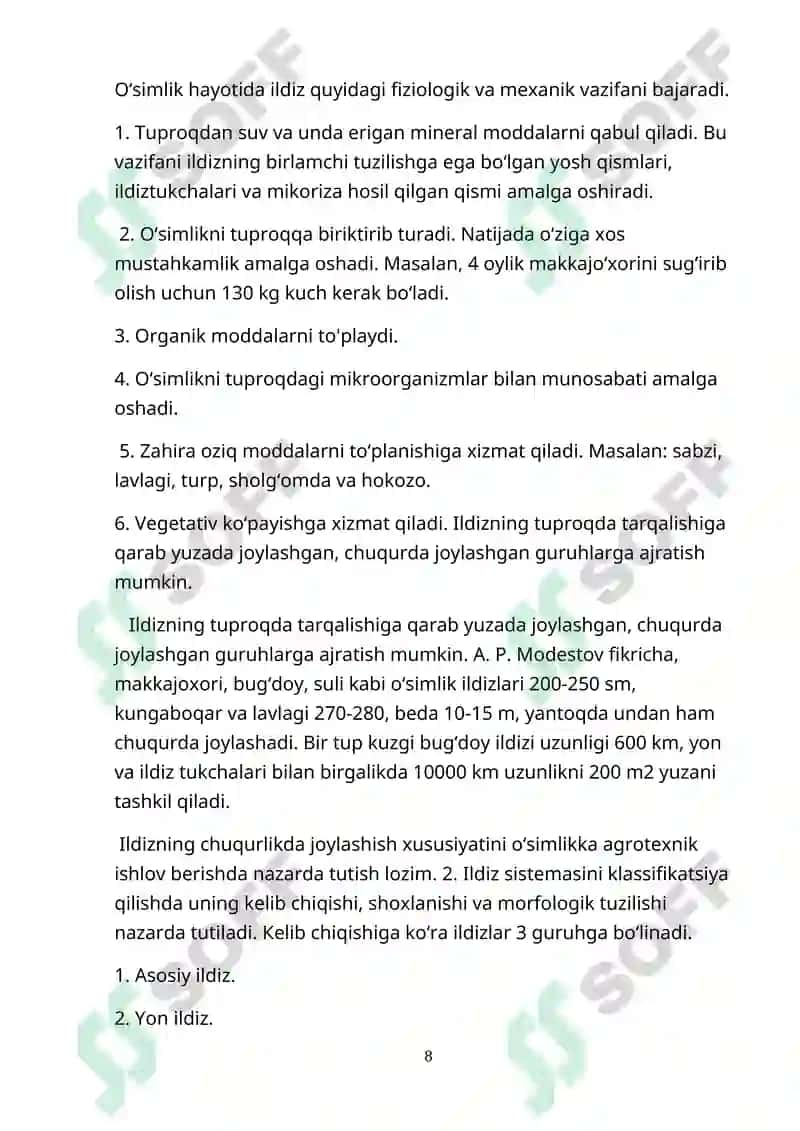 Yuksak o’simliklar ildizlarining ikkamchi anatomik tuzilishi 8