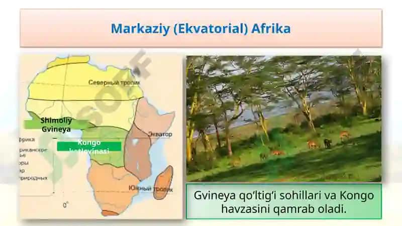 Tabiiygeografiko‘lkalari 8