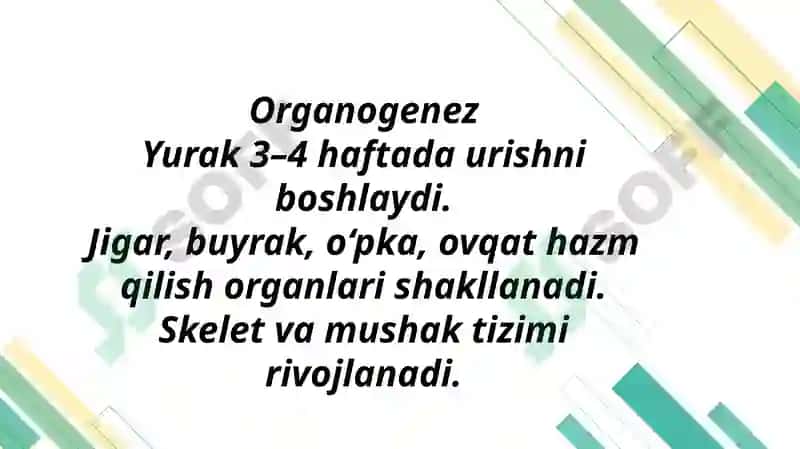 Proembrional va embrional rivojlanishning umumiy qonuniyatlari(Progenez) 8
