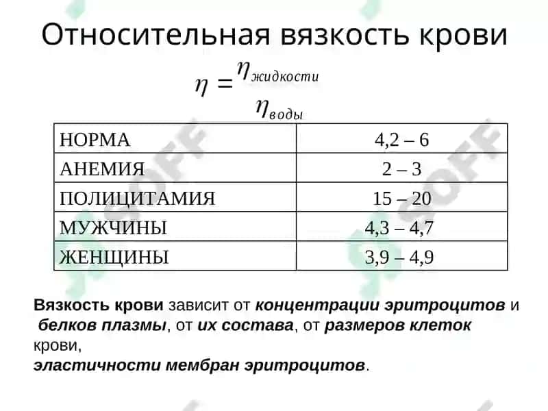 Физические основы кровеносной системы 8