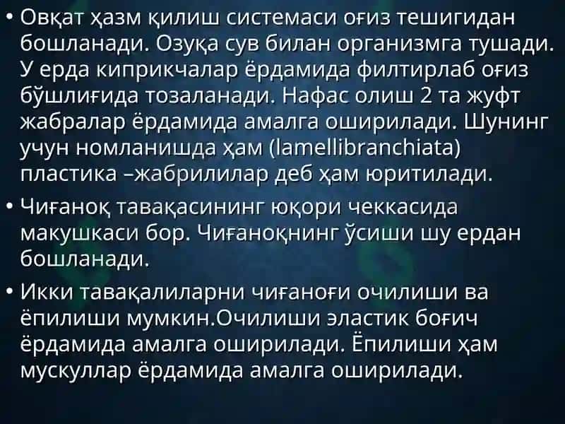 Mollusca – моллюскалар типии 8