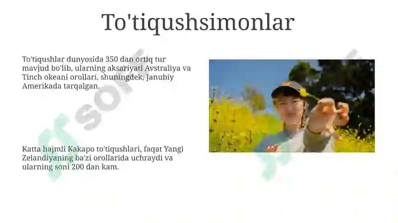 Qushlar turlari va ular haqida malumotlar 8