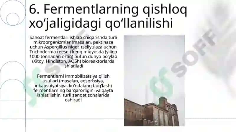 Fermentlar va ulardan ishlab chiqarishda foydalanish 8
