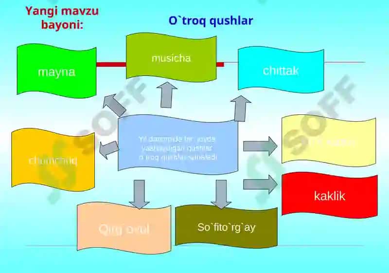 Qushlarning mavsumiy hodisalarga moslashishi 8