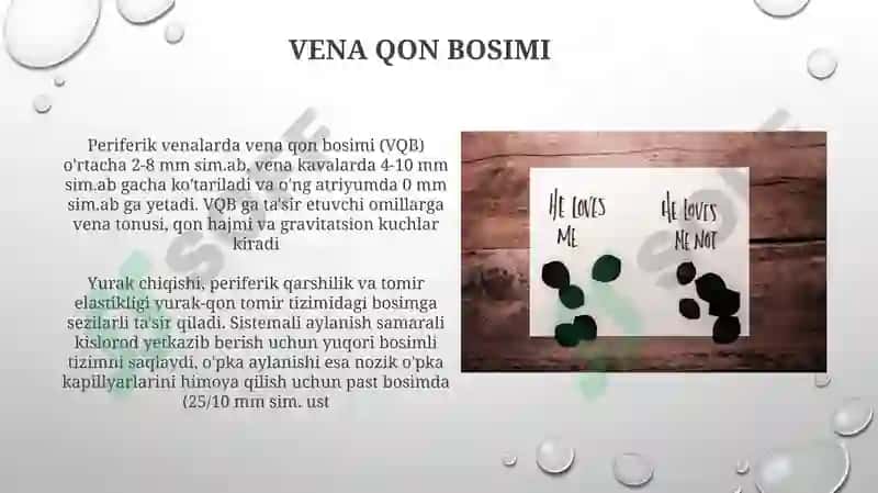 Kapillyar qon bosimi 8