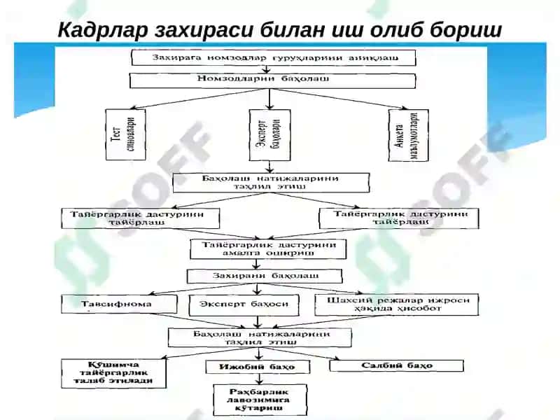 Кадрлар захираси ва карьера бошқариш 8