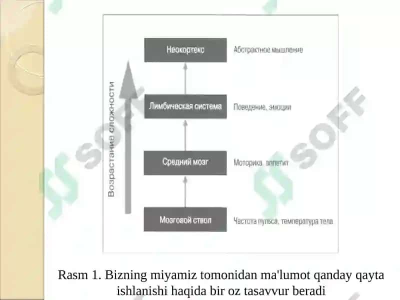 Iqtisodiyotning turli tarmoqlaridasun’iy intellekt texnologiyalaridan foydalanish imkoniyatlari 8