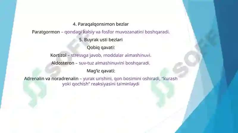 GORMONLAR VA ULARNING YOSHGA OID FUNKSIYALARI 8