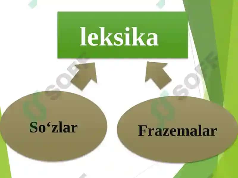 Hozirgi o‘zbek adabiy tilining leksik sathi va leksikologiyasi 8