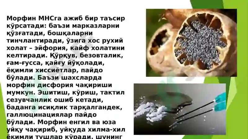 Оғриқ қолдирувчи моддалар 8