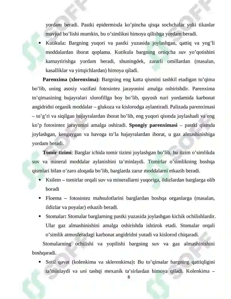 Barglarning Morfologik va Anatomik Tuzilishi 8