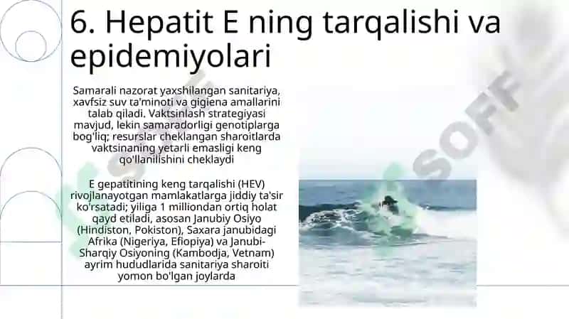 Gepatit E 8