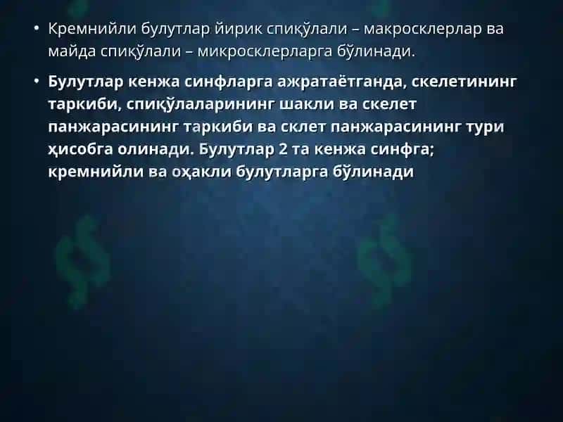 БУЛУТЛАР ТИПИ (Spongia) 8