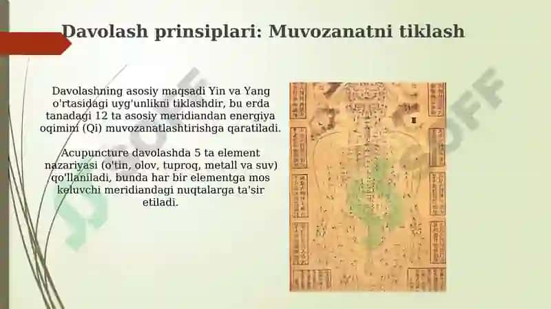 Qadimgi xitoyda shifobaxsh nuqtalarda igna bilan davolash 8