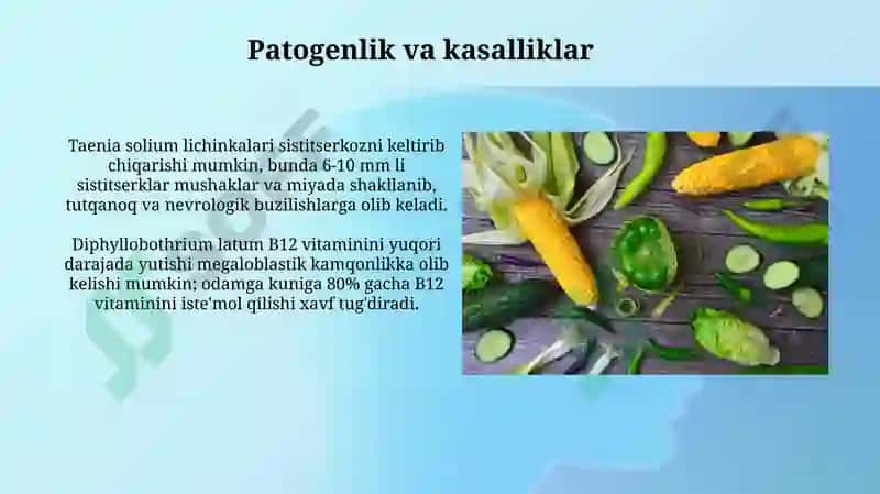 Tasmasimon chuvalchanglar dunyosi va ularning vakillari 8