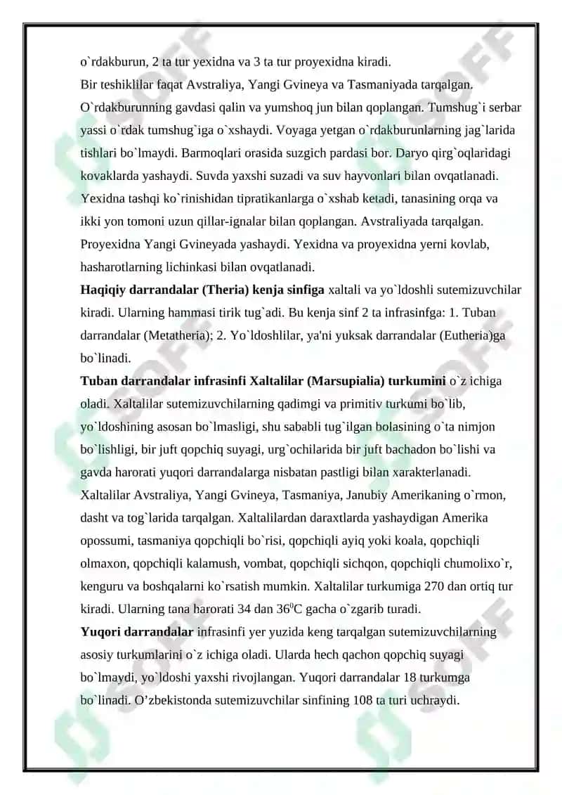 Sutemizuvchilar sinfi, ekologiyasi va evolyutsiyasi kurs ishi 8