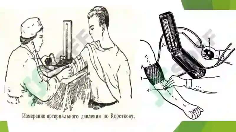 Sfigmomanometr va fonendoskop yordamida qon bosimini oʻlchash, aniqlash. Yurak biomexanikasi 8