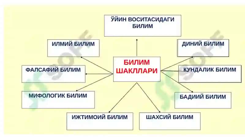 ГНОСЕОЛОГИЯ 8