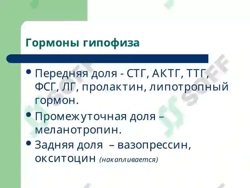 Патофизиология эндокринной системы 8
