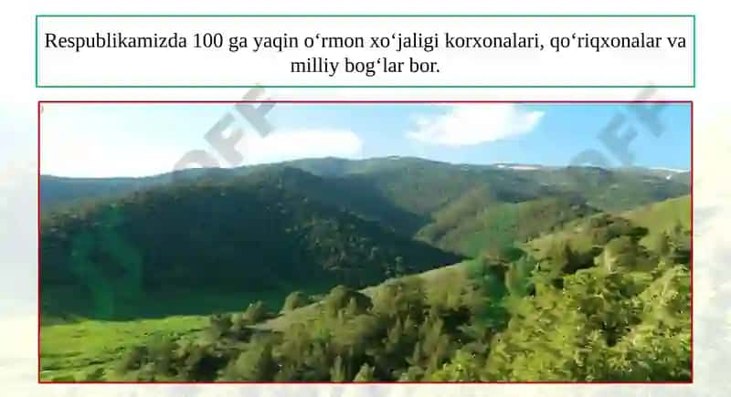 11-dars Mavzusi - Yog‘ochni Qayta Ishlash Sanoati 8