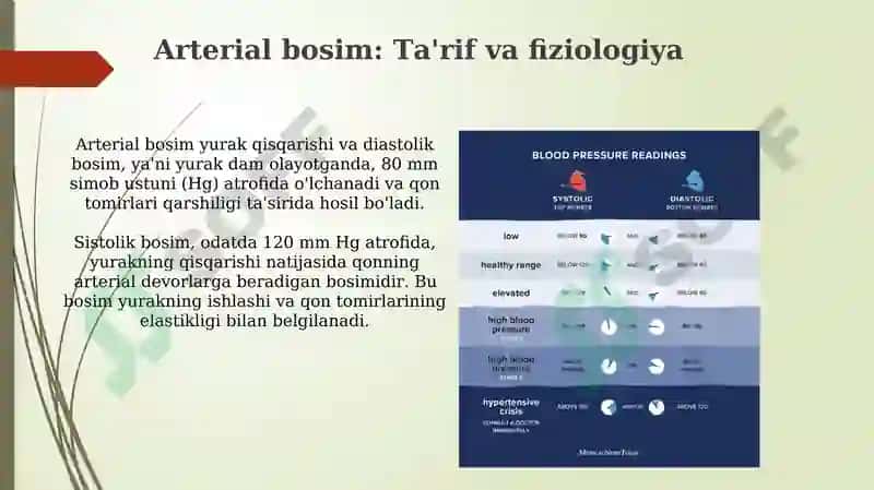 Pulsni tekshirish. Arterial bosim. Arterial bosimni o‘lchash. Gipertoniya va gipotoniya 8