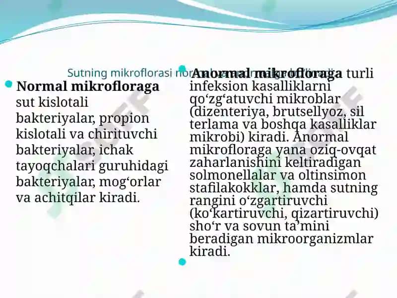 Sut, sut mahsulotlari va tuxum mikrobiologiyasi 8