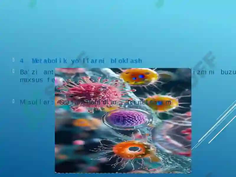 Bakteriyalarning antibiotiklarga chidamli shakllarini paydo bo'lish mexanizmlari 8