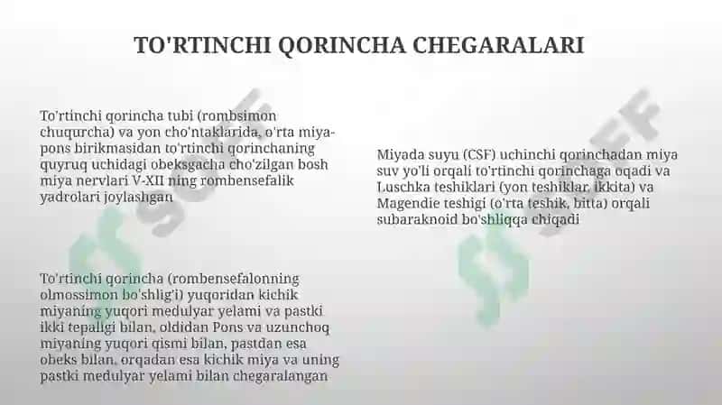 Miyachaning tuzilishi. IV-qorincha, Rombsimon bosh miya nervlari o'zaklarining joylashishi 8