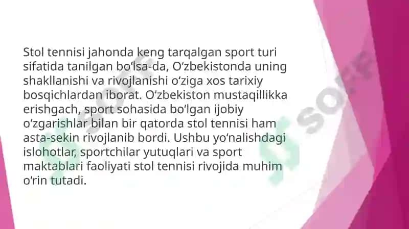 Stoltennis sportturi 8
