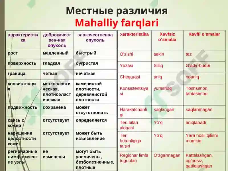 ОСНОВЫ ОНКОЛОГИИONKOLOGIYA ASOSLARI 8