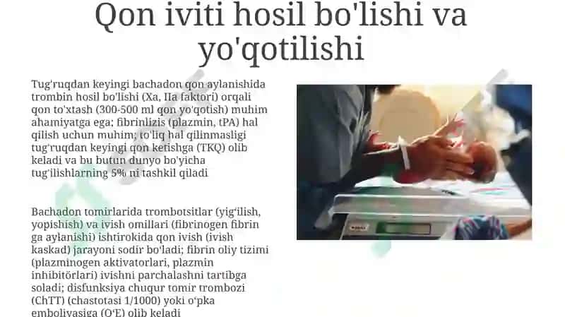 Tug'ruqdan keyingi gemodinamik o'zgarishlar 8