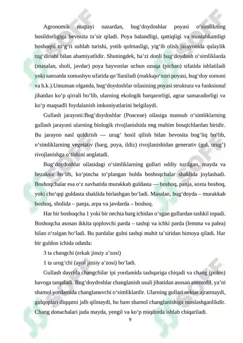 Bug’doydoshlar oilasining umumiy ta’rifi,vakillari,tuzilish xususiyatlari va ahamiyati. 8