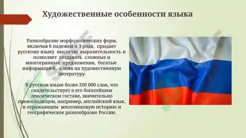 Лексическое богатство русского языка 8